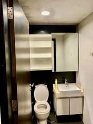 Haig 162 (D15), Apartment #553364541
